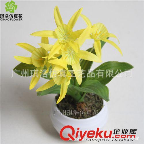 樹  小植物  掛藤 供應新品綠植夜水仙  創意室內裝飾小景物盆栽批發 廠家直銷原始圖片2