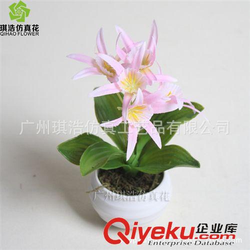 樹  小植物  掛藤 供應新品綠植夜水仙  創意室內裝飾小景物盆栽批發 廠家直銷原始圖片3