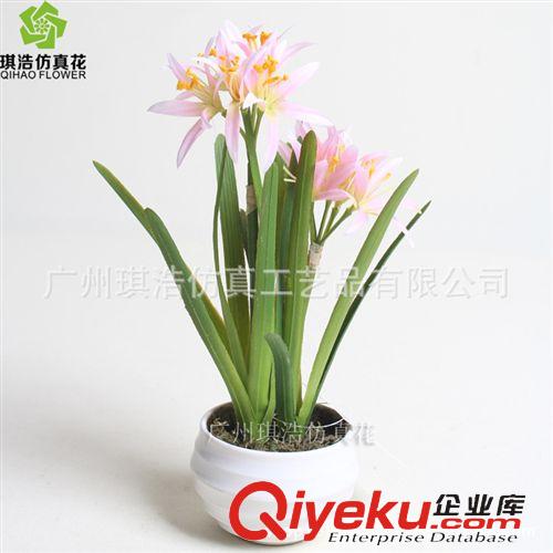 樹  小植物  掛藤 新品2比星花  供應優質塑膠花卉綠色小植物盆景 室內可裝飾物原始圖片2