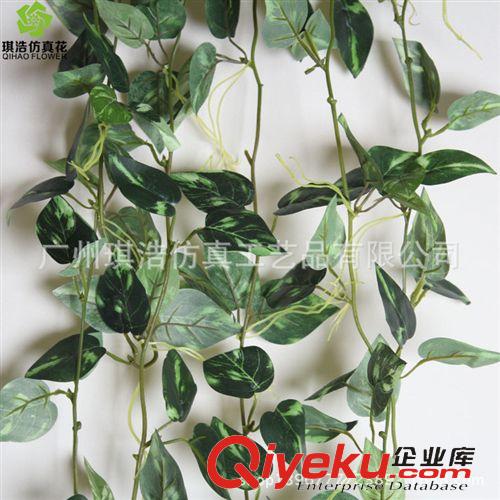 樹  小植物  掛藤 綠蘿仿真花壁掛  新品廠家直銷  gd仿真塑膠藤條批發(fā)原始圖片2