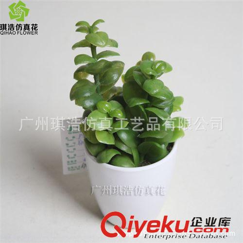 樹  小植物  掛藤 供應軟膠瓜子葉小綠植物盆栽  創意迷你桌面小景物批發