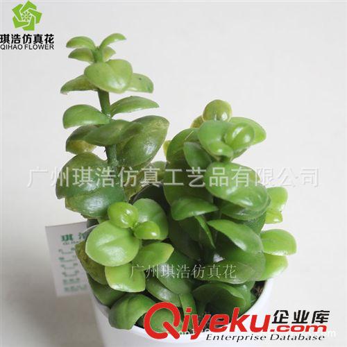 樹  小植物  掛藤 供應軟膠瓜子葉小綠植物盆栽  創意迷你桌面小景物批發