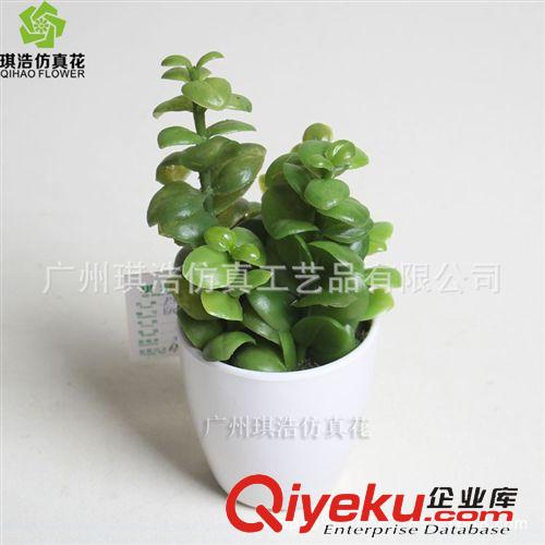 樹  小植物  掛藤 供應軟膠瓜子葉小綠植物盆栽  創意迷你桌面小景物批發