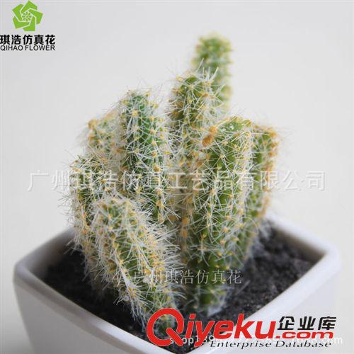 樹  小植物  掛藤 供應新品綠植 優質塑膠小植物十二棱 花卉盆栽 室內小景物批發