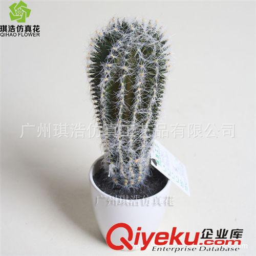 樹  小植物  掛藤 供應新品綠植 優質塑膠小植物十二棱 花卉盆栽 室內小景物批發
