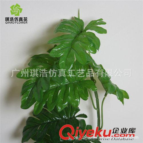 樹  小植物  掛藤 大芋葉掛藤  新品廠家直銷  gd塑膠單支仿真花裝飾物掛藤批發