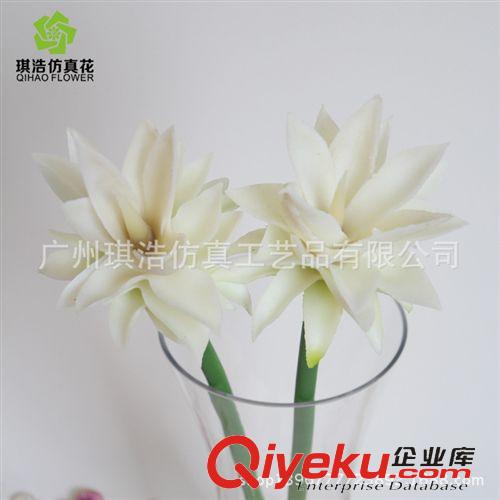 軟膠gf真 新款gd過膠帝王花   用于家具裝飾  供應(yīng)膠帝王花  廠家直銷