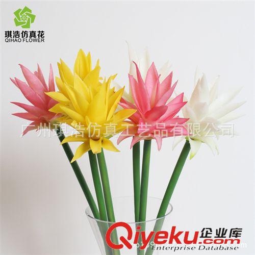 軟膠gf真 新款gd過膠帝王花   用于家具裝飾  供應(yīng)膠帝王花  廠家直銷