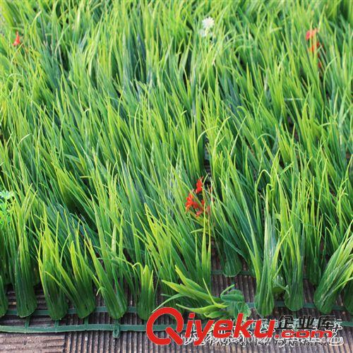 仿真草坪 仿真植物草坪/帶花大秧苗綠色植物塑料草室內外裝修/假草坪批發原始圖片2