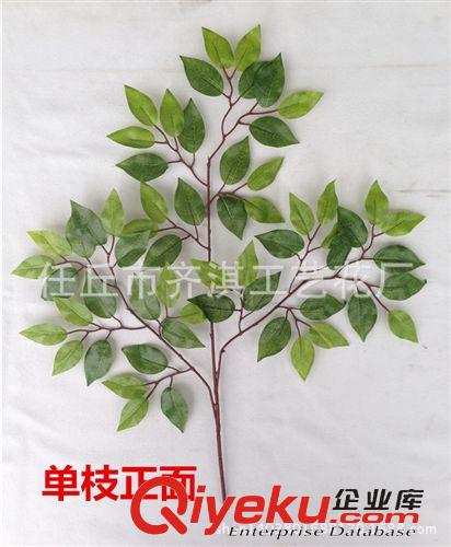 仿真樹枝 仿真榕樹枝 過膠絲印彩印榕樹枝仿真樹葉樹枝批發(fā)  65葉榕樹葉原始圖片3