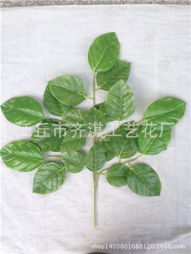 仿真樹枝 tj仿真樹葉裝飾假蘋果葉塑料樹枝絹花葉批發(fā)竹葉綠葉玉蘭葉原始圖片2