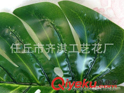 仿真樹枝 仿真龜背竹環保過膠仿真綠葉子 單枝葉子大綠葉子批發
