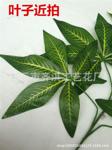 仿真樹枝 仿真發(fā)財葉 仿真樹枝 假樹枝 植物造景 塑料植物裝飾 絹布樹枝原始圖片3