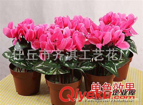 仿真盆景 廠家直銷仿真花會(huì)議布景用花 假花裝飾盆栽 加密型仿真仙客來多色原始圖片2