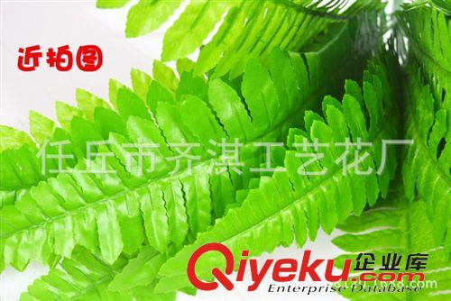 仿真盆景 仿真波斯葉蕨草熱帶植物裝飾植物波斯草插花配材 仿真樹(shù)葉 批發(fā)原始圖片3