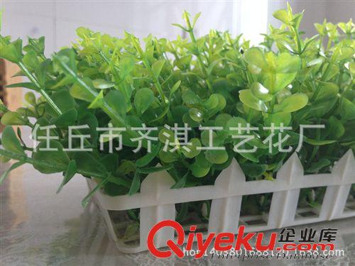 仿真盆景 仿真護欄盆栽 白柵欄四葉幸運草 塑料花假花裝飾 仿真柵欄花套裝原始圖片2