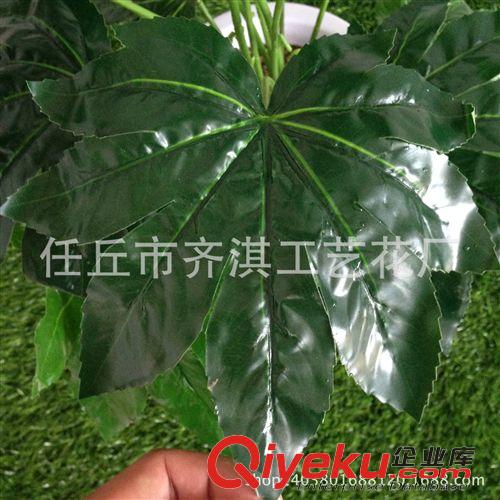 仿真盆景 仿真假帶花八角金盤 仿真盆景套裝gf真金盤仿真植物景盆栽批發(fā)原始圖片2