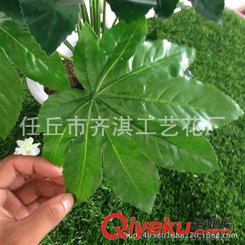 仿真盆景 仿真假帶花八角金盤 仿真盆景套裝gf真金盤仿真植物景盆栽批發(fā)原始圖片3