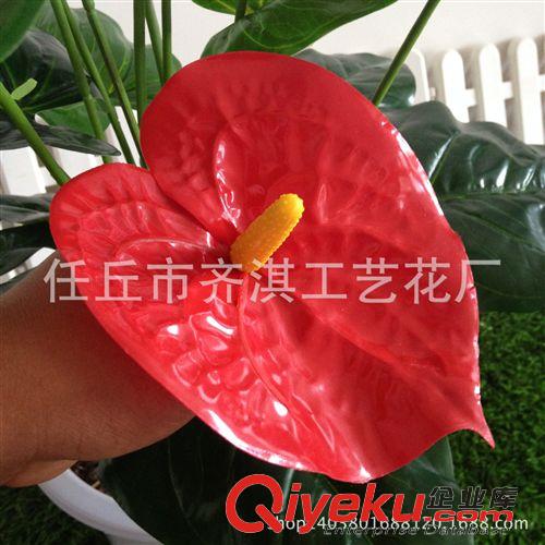 仿真盆景 供應(yīng)仿真植物 小盆景盆栽 家居裝飾仿真花卉 假花批發(fā) 5頭大紅掌原始圖片2