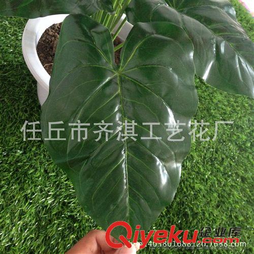 仿真盆景 供應(yīng)仿真植物 小盆景盆栽 家居裝飾仿真花卉 假花批發(fā) 5頭大紅掌原始圖片3