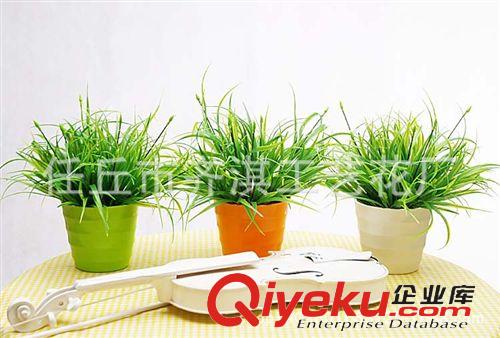 仿真盆景 仿真植物 松樹圣誕樹塔柏四季長(zhǎng)青針柏清明節(jié)又名蜀檜,圓柏批發(fā)