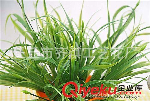 仿真盆景 仿真花 西蘭草把花 把束 小麥苗草 塑料水草 裝飾把花 tj批發(fā)原始圖片2