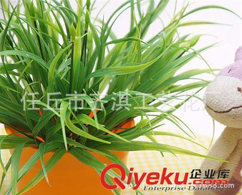仿真盆景 仿真花 西蘭草把花 把束 小麥苗草 塑料水草 裝飾把花 tj批發(fā)原始圖片3