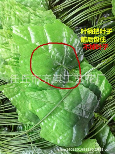 仿真藤條 平板葡萄葉 仿真葡萄葉 仿真藤條 葉藤 小平板葡萄葉批發(fā)原始圖片2