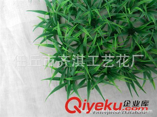 仿真草坪 仿真草坪 塑料草坪 人造草坪 地毯草 人造草皮 仿真春草247大春草原始圖片3