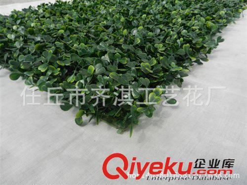 仿真草坪 仿真草坪 豆瓣 米蘭草 雙層加密人造草皮家居飾品塑料草坪仿真花原始圖片3