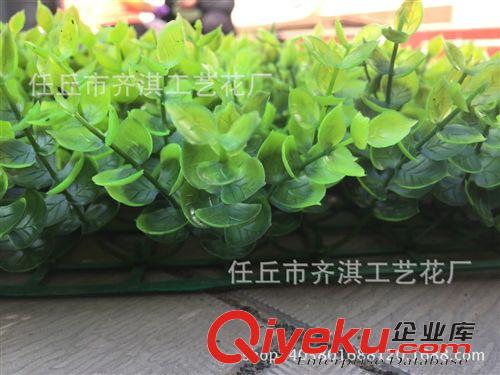 仿真草坪 仿真金錢葉仿真草坪尤加利塑料草坪綠化裝飾工程綠化人造草坪原始圖片2
