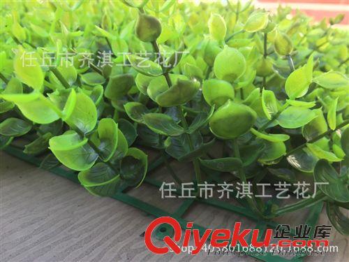 仿真草坪 仿真金錢葉仿真草坪尤加利塑料草坪綠化裝飾工程綠化人造草坪原始圖片3
