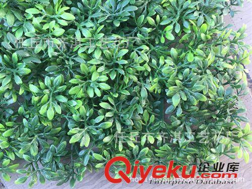 仿真草坪 仿真雙層榆樹草坪加密尤加利塑料草坪假草皮人造草坪米蘭草坪原始圖片3
