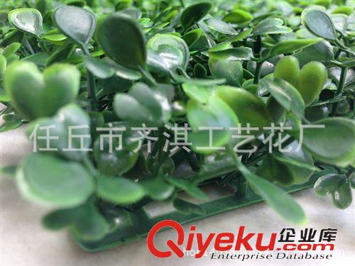 仿真草坪 仿真草坪 豆瓣 25x25雙層米蘭草 雙層加密人造草皮塑料草坪仿真花原始圖片3