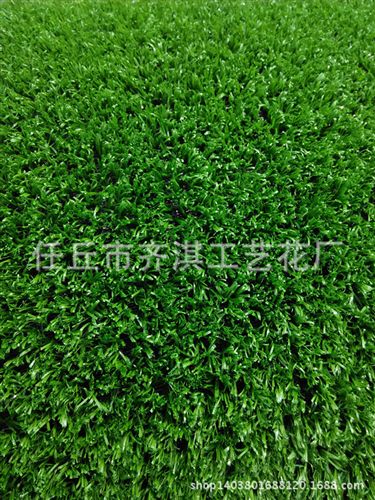 運(yùn)動草坪 廠家批發(fā)15MM仿真草坪假草皮戶外裝飾草坪幼兒園 人造草坪地毯原始圖片2