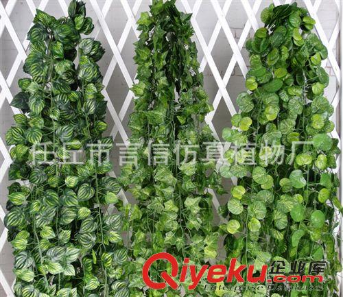 精品推薦 批發(fā) tj仿真常春藤條假綠蘿爬山虎綠葉藤 吊蘭塑料仿真藤條原始圖片2
