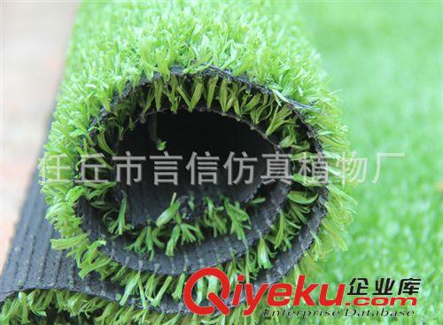 仿真草坪 批發(fā) 仿真10mm草皮塑料草坪 人造草坪地毯草 人造草皮仿真春草原始圖片2
