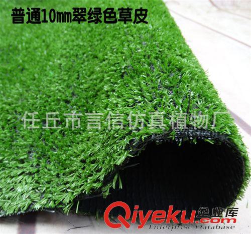 仿真草坪 批發(fā) 仿真10mm草皮塑料草坪 人造草坪地毯草 人造草皮仿真春草原始圖片3