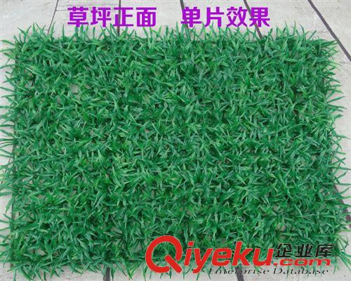 仿真草坪 批發(fā) 足球場(chǎng)人造仿真草坪 加密仿真帶花草坪40*60原始圖片3