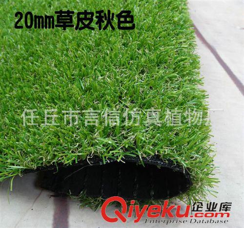 仿真草坪 可按客戶要求定制 2cm仿真景觀草坪 足球場人工仿真草坪原始圖片3