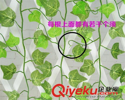 仿真花藤 批發(fā) 仿真裝飾假花藤 地瓜葉花藤假綠蘿常青藤2.4米爬山虎藤條原始圖片3
