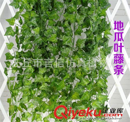 仿真花藤 批發(fā) tj仿真常春藤條假綠蘿爬山虎綠葉藤 吊蘭塑料仿真藤條原始圖片3