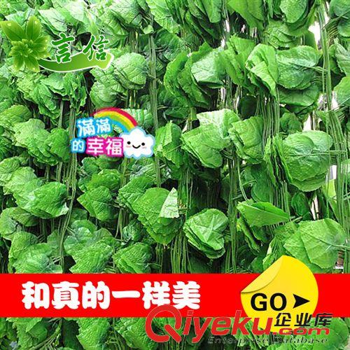 仿真花藤 tj批發(fā) 裝飾綠葉仿真花藤藤條藤 加密常春藤綠蘿吊籃壁掛