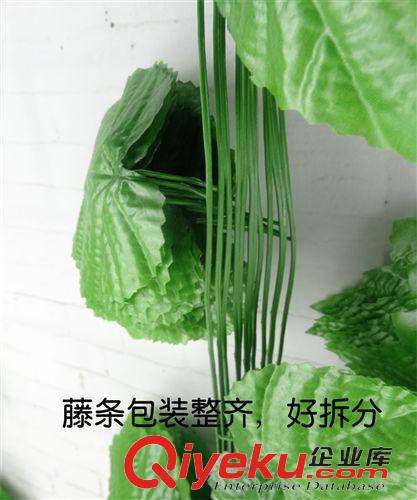 仿真花藤 廠家批發(fā) 仿真葡萄葉子藤條 裝飾葉常青葉葡萄葉 仿真壁掛藤條原始圖片3