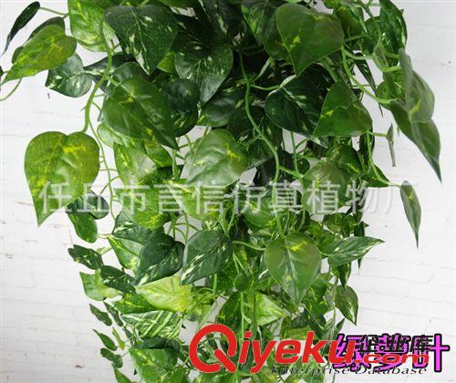 仿真花藤 定制 仿真花吊蘭綠蘿海棠藤條 大葡萄葉吊頂仿真絹花藤條原始圖片3