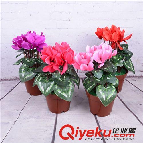 仿真塑料花 批發(fā)仿真多色太陽花藤條藤蔓 家居gd仿真花藤藤條