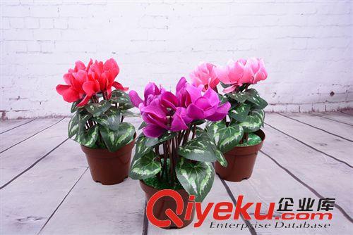 仿真塑料花 廠家直供仿真仙客來綠植 客廳植物裝飾假花盆栽盆景 塑料絹花帶盆原始圖片3
