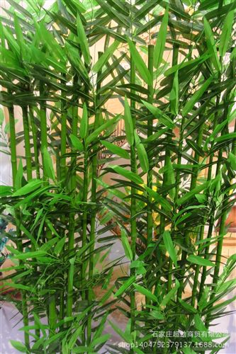仿真植物 gf真竹子假竹子裝飾定制加密落地工程竹子隔斷屏風(fēng)廠家批發(fā)毛竹原始圖片2