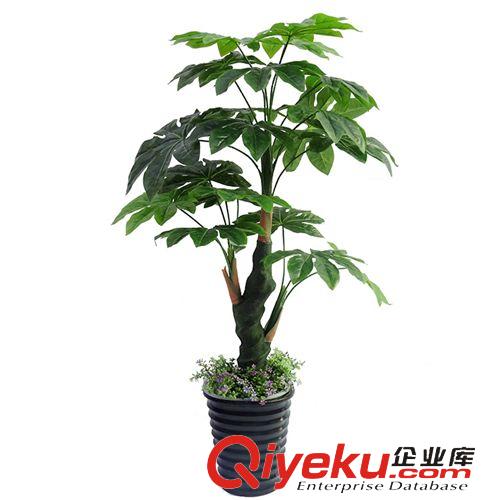 仿真植物 廠家直銷  滴水觀音植物 酒店客廳落地仿真植物 家居裝飾仿真樹原始圖片3