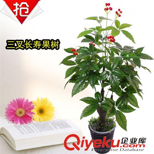 仿真植物 廠家直銷  仿真多頭紅掌 仿真植物 仿真吉祥紅掌 仿真樹 假樹